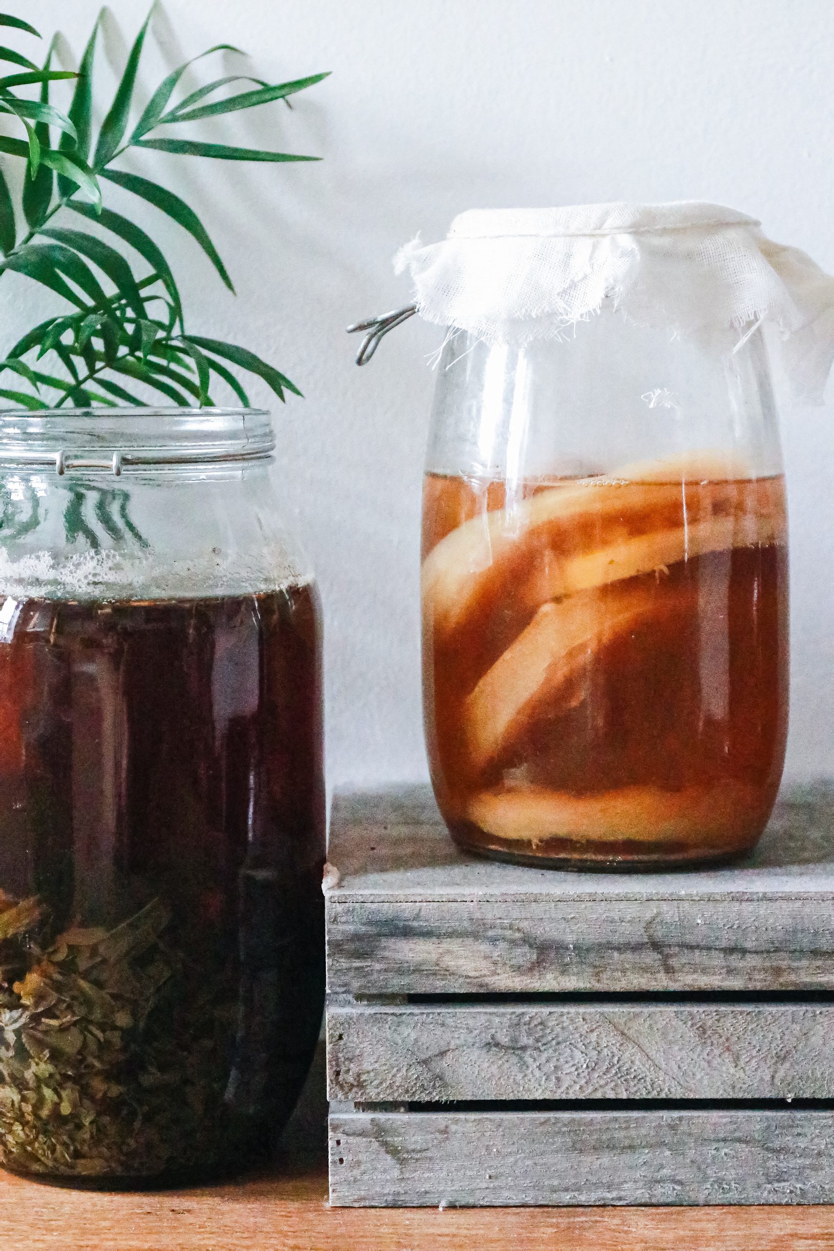 Fermentation - Fermenting glasses