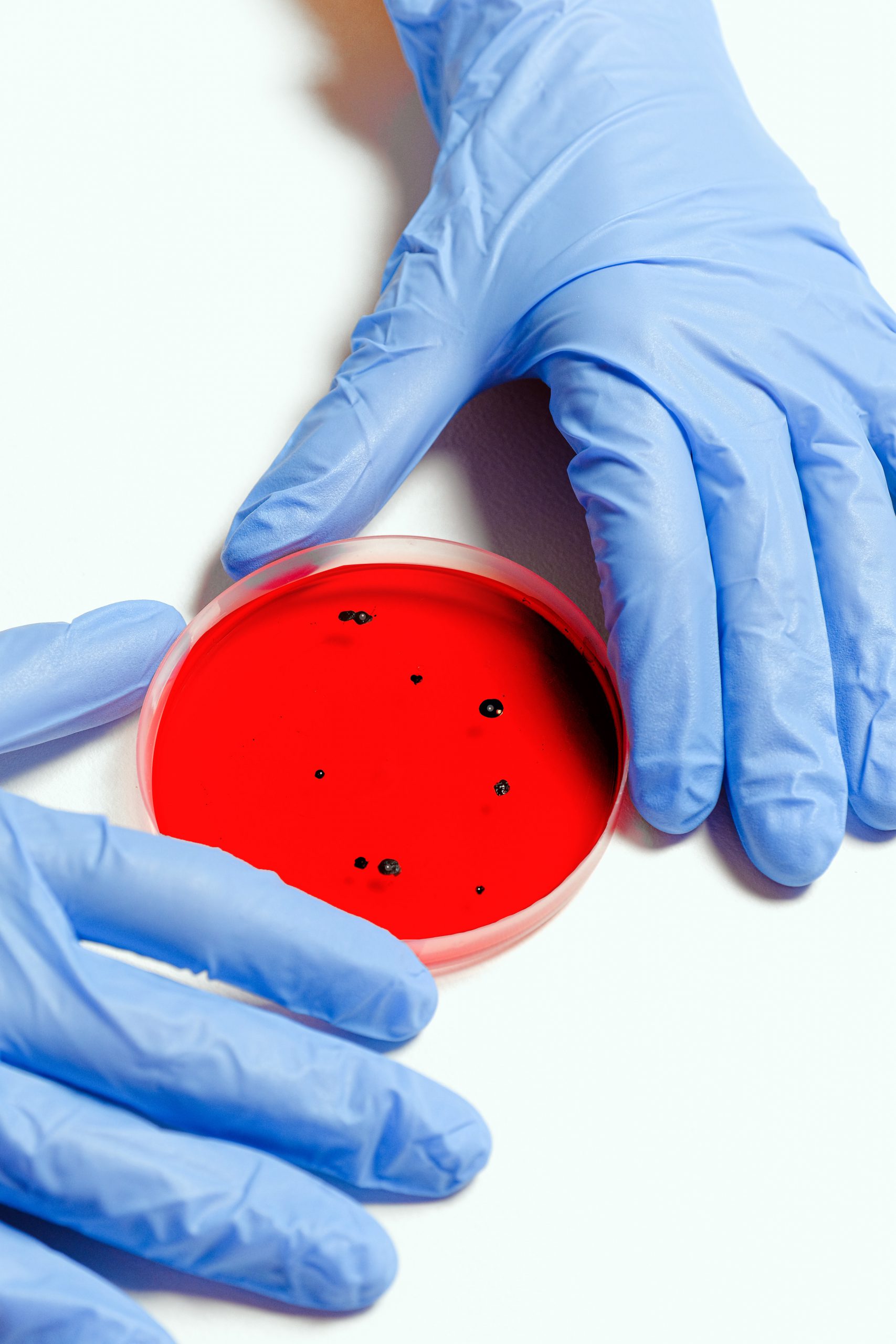 Molecular Biology - Petri dish enclosed by two hands